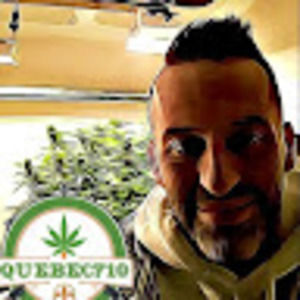 Meet your Posher, Marcoallin